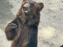 -大连森林动物园