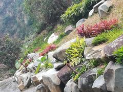 -火炉山森林公园