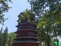 -北京世界公园