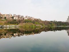 -重庆彩云湖湿地公园