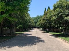 -函谷关历史文化旅游区