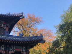 -灵谷景区