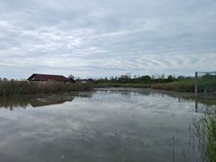 -盐城丹顶鹤湿地生态旅游区