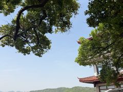 -湖畔居茶楼(湖滨店)