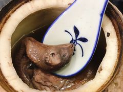 原只椰子炖鹌鹑-達揚原味燉品(文明路店)