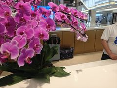 -红星美凯龙(浦江店)
