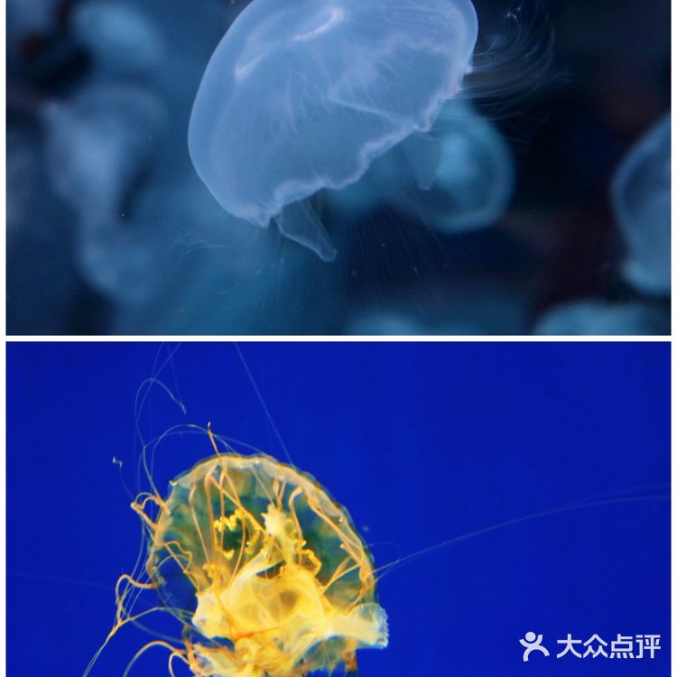 桂林融创准备开业啦！抢先先来体验一下