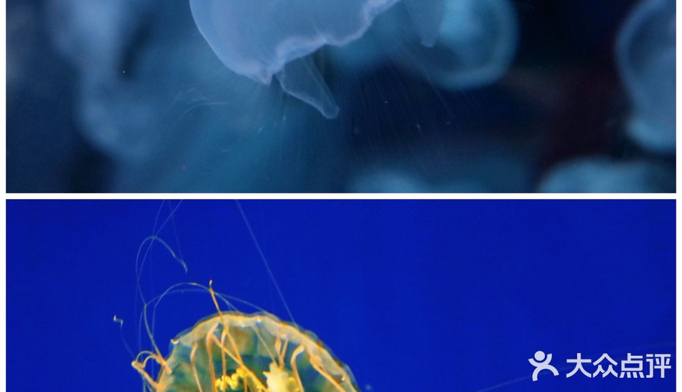 桂林融创准备开业啦！抢先先来体验一下