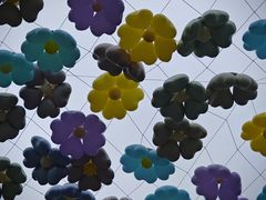 -糕材生•糕点•生日蛋糕(钟楼街店)