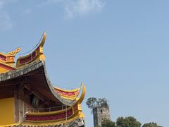 -江心屿景区