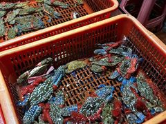 -巽寮印象美食部落餐厅·海鲜·地方特色菜(惠州体验店)