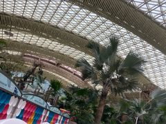 -杭州开元森泊度假乐园