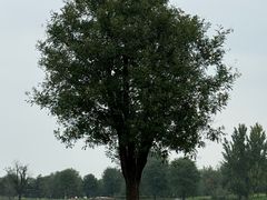 -汉长安城未央宫国家考古遗址公园