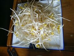 豆芽-蜀辣居鲜货老火锅(簇桥富顿中心店)