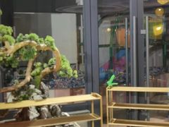 -星河湾温泉洗浴酒店