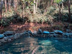 -明月山天沐温泉度假村