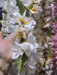 -呼拉汇舞蹈生活馆 Hawaii Hula&Tahiti Dance Studio