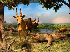 -国家自然博物馆