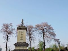 -西安青龙寺遗址景区