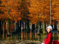 -白鹭湾湿地公园