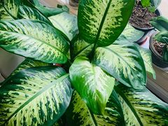 -木子塘汗蒸生活馆(财富港店)