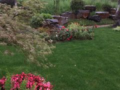 -南京外国语学校(仙林分校西区)