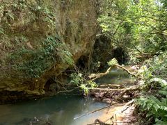 -怀托摩萤火虫洞