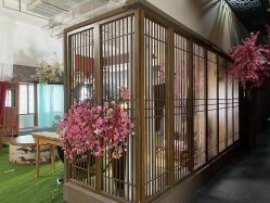 -盘子女人坊生日照·摄影馆(华强店)