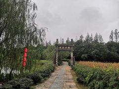 -杏花村文化旅游区