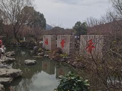 -香雪海