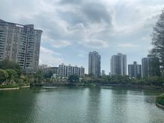 -四海公园(南山区)