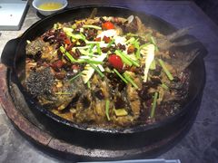 -老板恋上鱼(恒隆广场店)