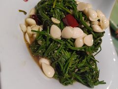 杏仁沙葱-胡杨记忆(和平路店)