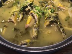 -眉州东坡(博雅店)