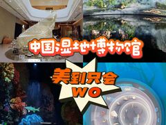 -中国湿地博物馆