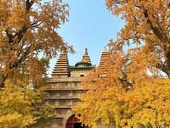-北京石刻艺术博物馆(五塔寺)