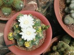 -南通洲际绿博园