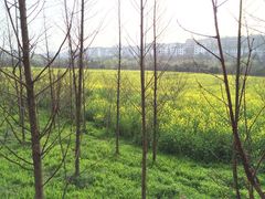 花溪十里河滩湿地公园-贵阳市花溪国家城市湿地公园