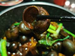 -大龙凤鸡煲(万菱汇店)