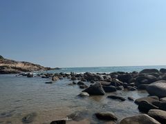 -广东惠东海龟国家级自然保护区