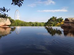 -石家庄市植物园
