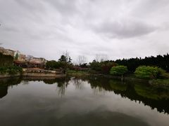 -嘉定紫藤园