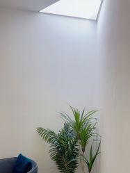 -VE专注问题肌·赛诺龙&科学美肤中心