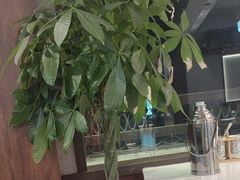 -鲁菜根·泰山菜(泰山店)