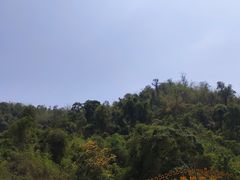 -西双版纳原始森林公园