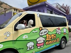 -趣玩宠物乐园寄养训犬训狗游泳池