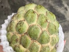 -自强夜市