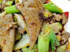 -天一沾水肥肠(科园一街店)
