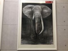 -清岚画室少儿美术培训(平江校区)