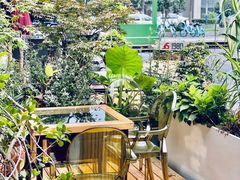 -春树下·树屋花房西餐厅(罍街AS1980店)